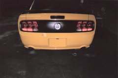 Seales Autobody 2005 Ford Mustang 05